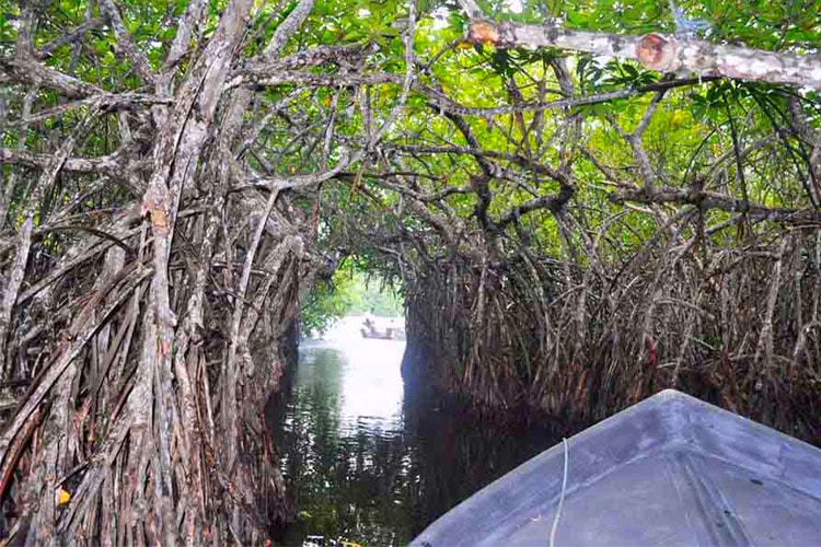 sri-lanka-christi-tours-10n-11d-tour-madu-river