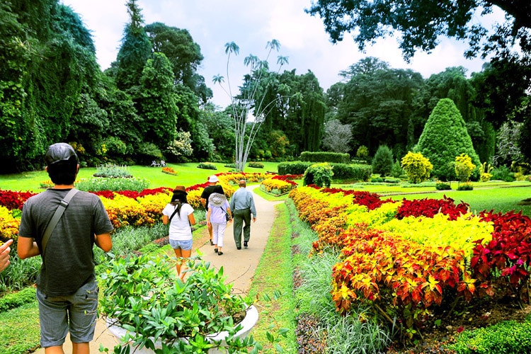 sri-lanka-christi-tours-3n-4d-tour-peradeniya