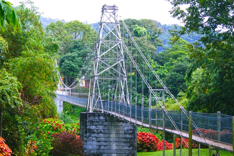 sri-lanka-christi-tours-sri-lanka-day-tours-kandy-peradeniya-botanical-gardens